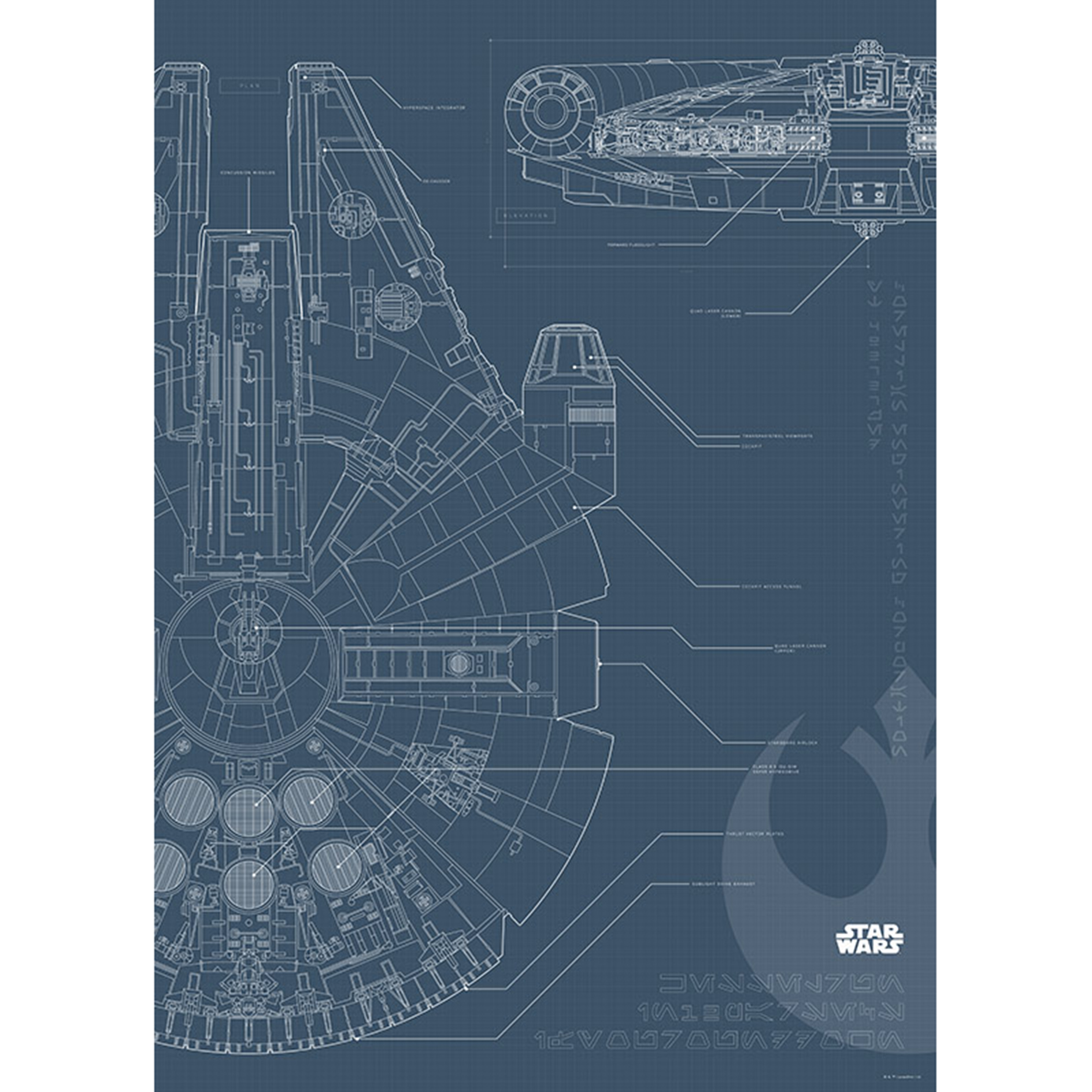Wandbild STAR WARS BLUEPRINT FALCON - 50x70 cm