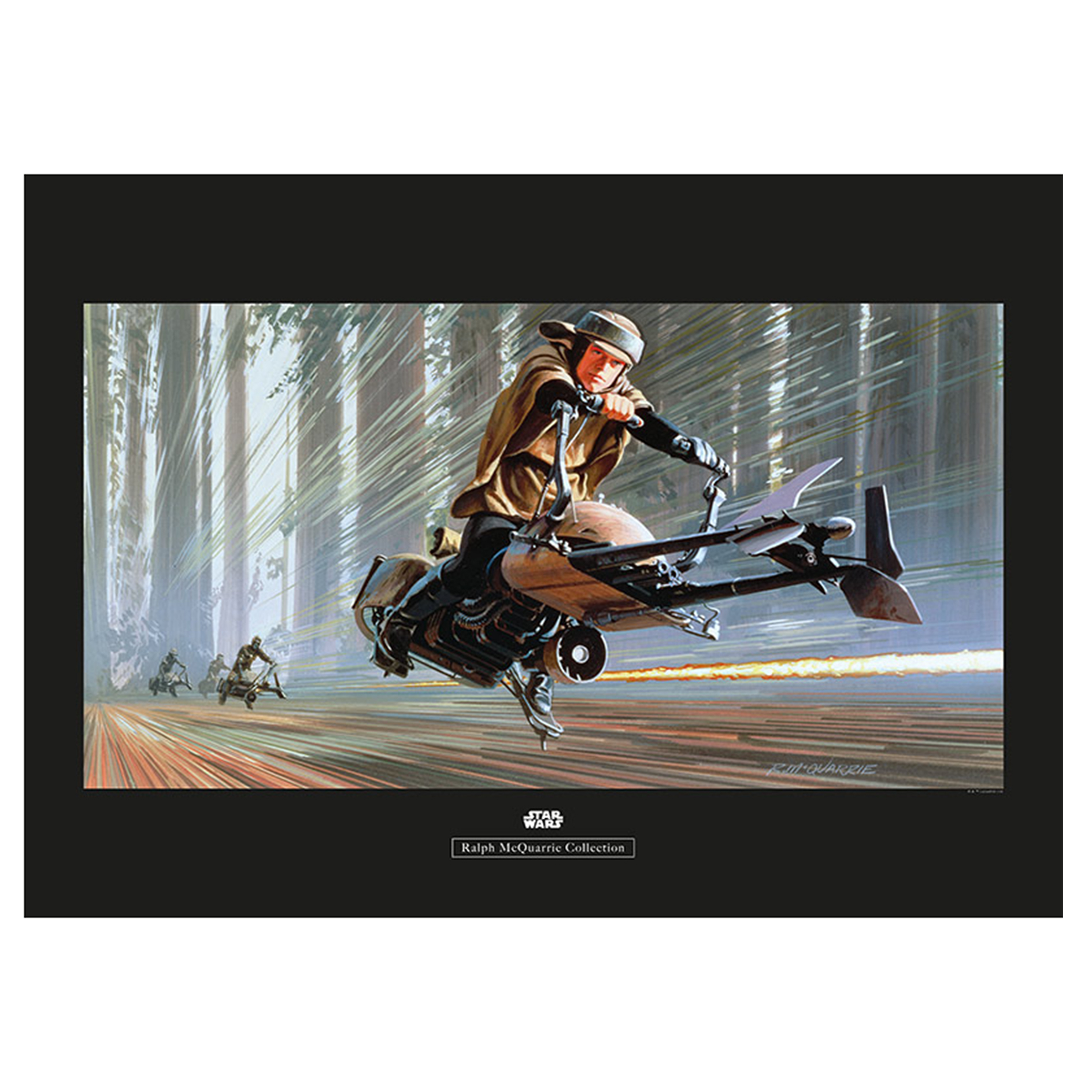 Wandbild STAR WARS CLASSIC RMQ ENDOR SPEEDER - bunt - 50x70 cm