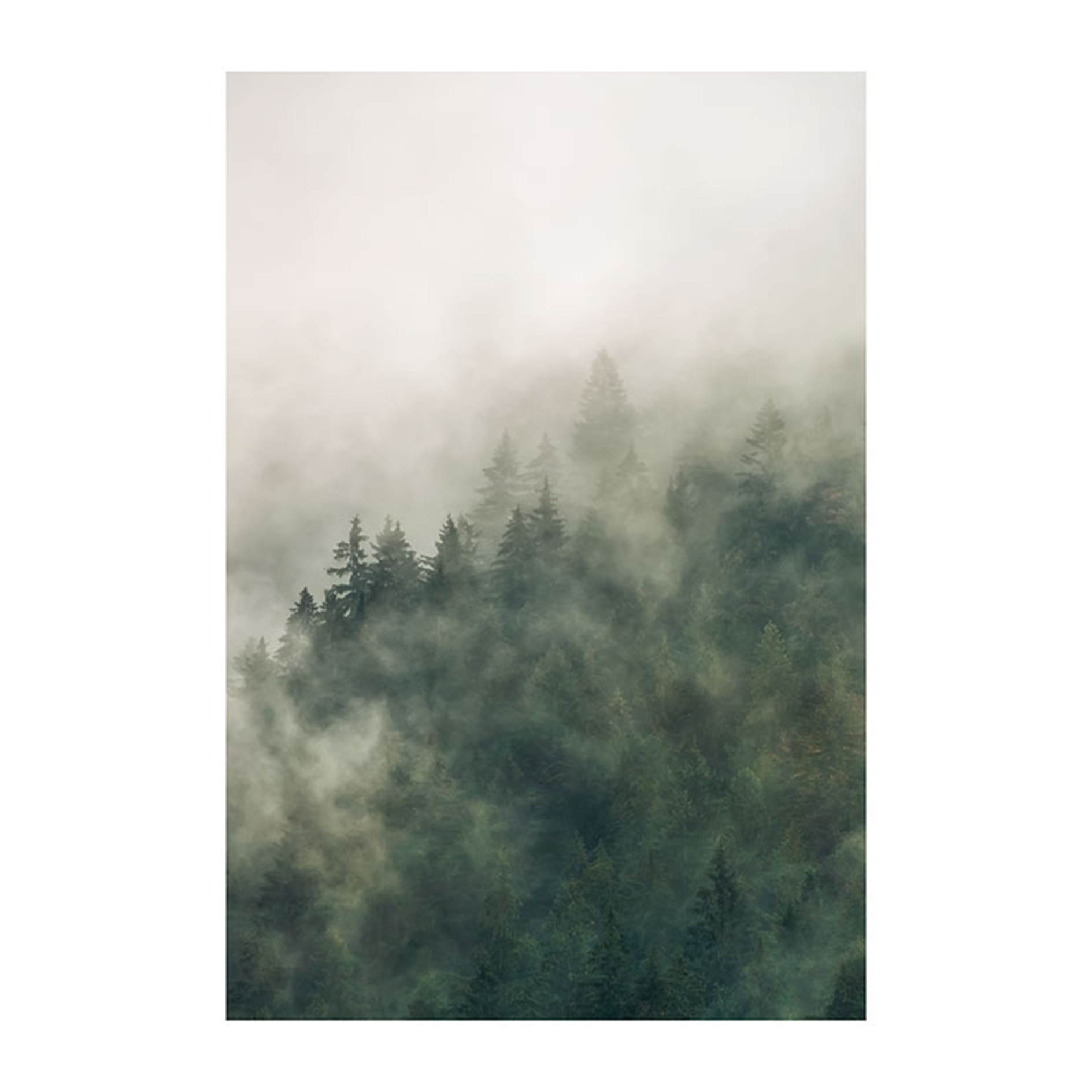 Wandbild TALES OF THE CARPATHIANS - 50x70 cm
