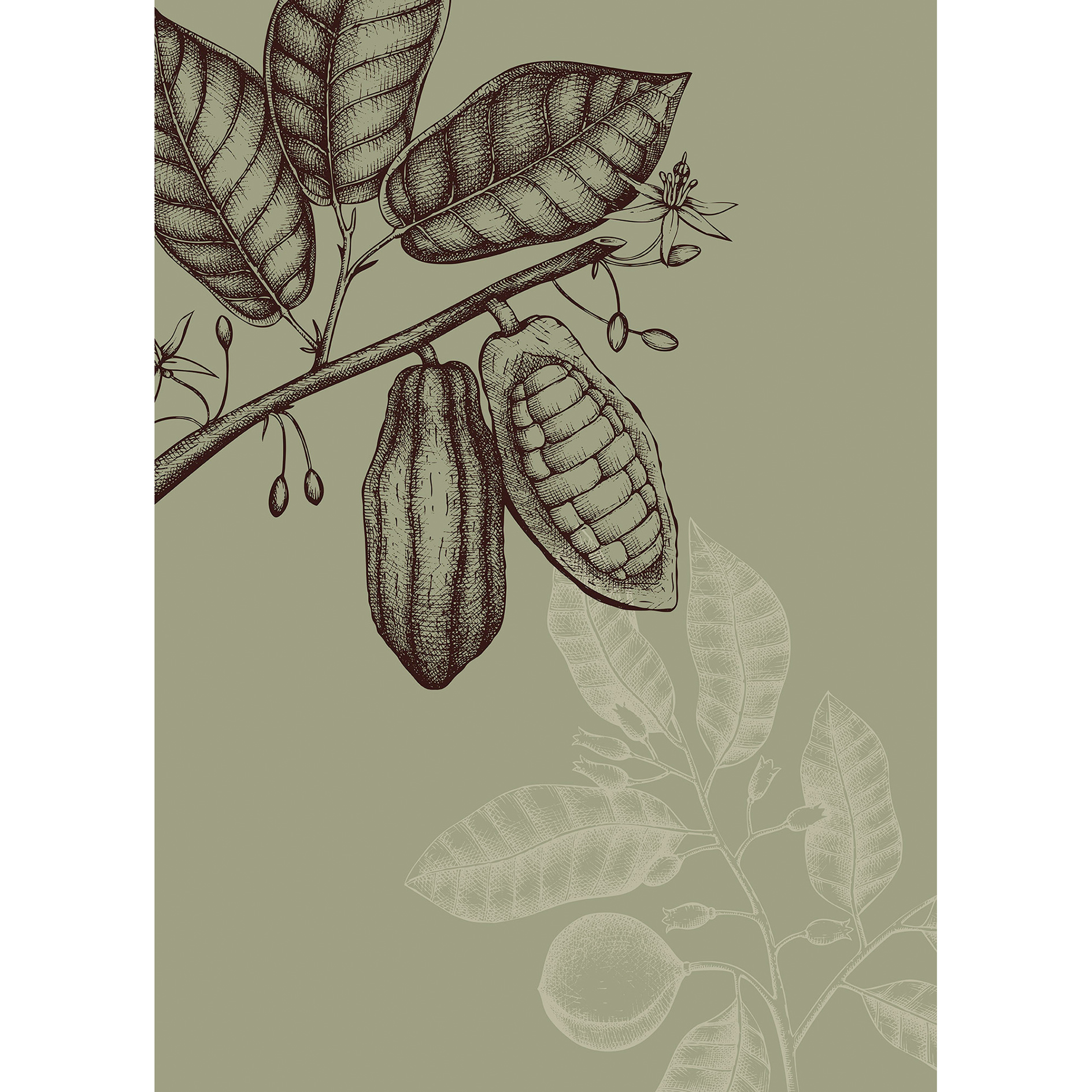 Wandbild WILD COCOA - grün - 50x70 cm