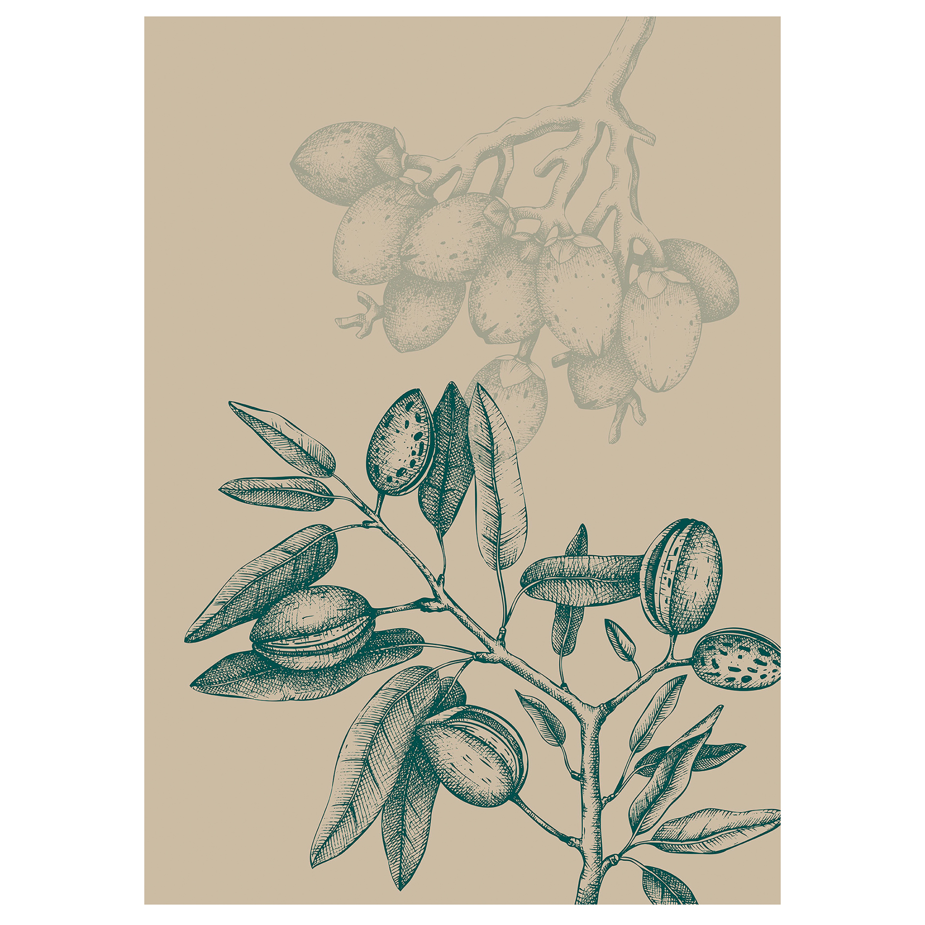 Wandbild WILD MANDOLINO - beige - 50x70 cm