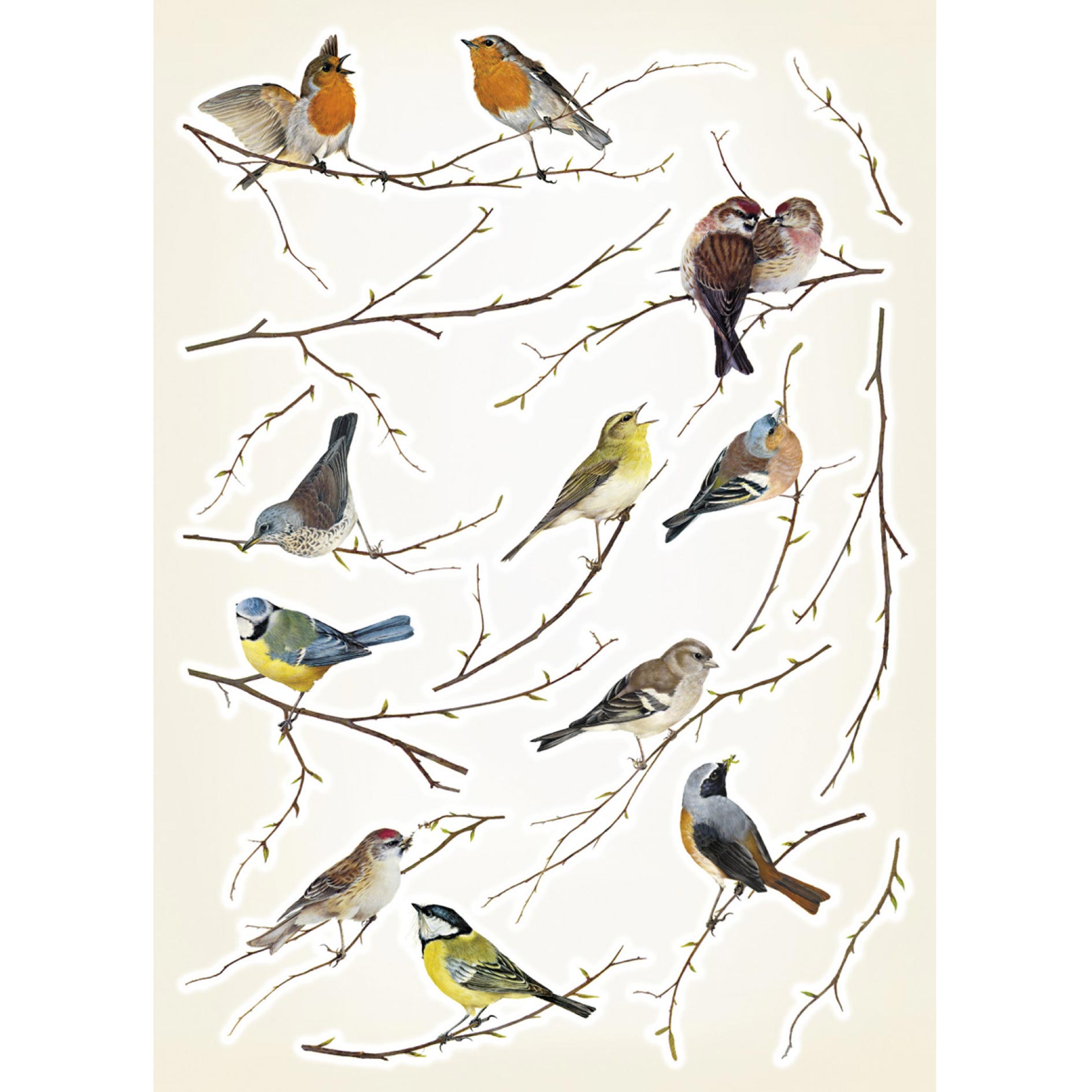Wandtattoo VOGERL - bunt - 50x70 cm