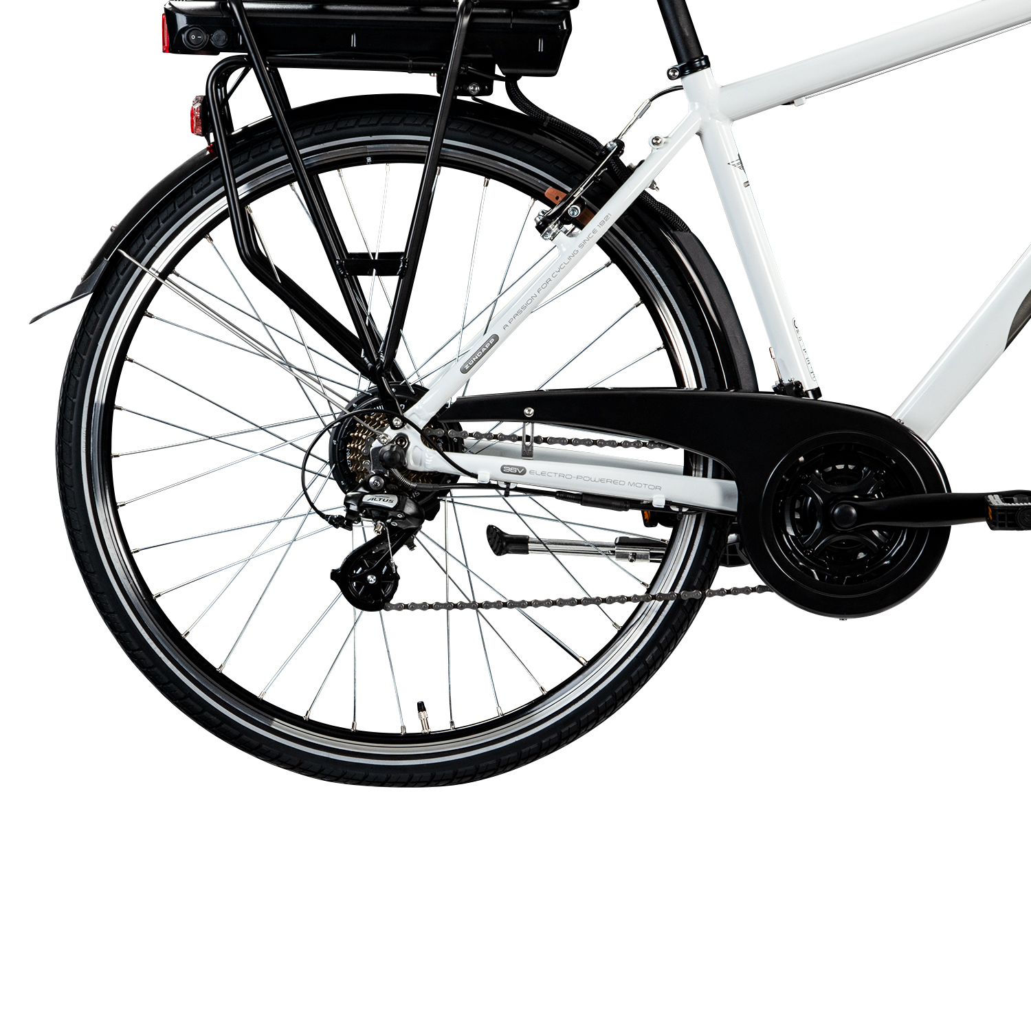 kassettenmarkise empasa Elektrische Vollkassettenmarkise 'Premium' Fahrrad Pedale A-Sport 25 audi-rs7 Color:Pine Green/Desert Rose