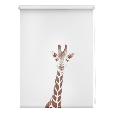 LICHTBLICK Verdunklungsrollo GIRAFFE - weiß-braun - 45x150 cm