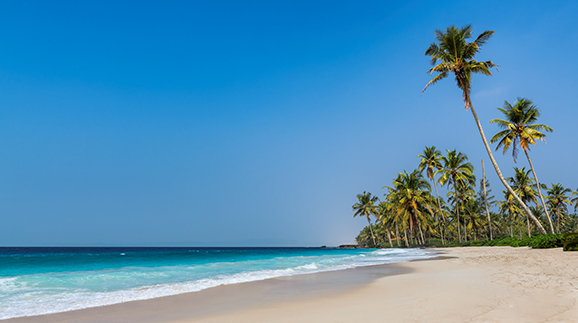 Rabatte_Rabatz_Strand.jpg